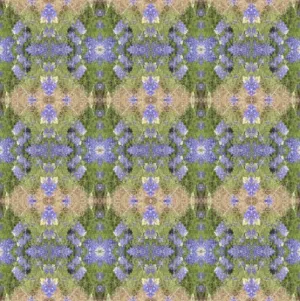 Bluebonnet Collection No. 3 - 1 Yard Fabric