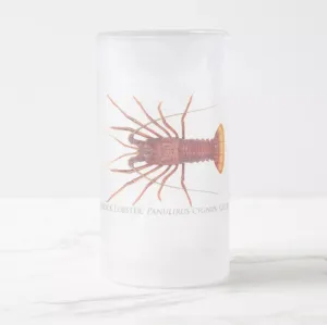 Western Rock Lobster - Frosted Glass Stein